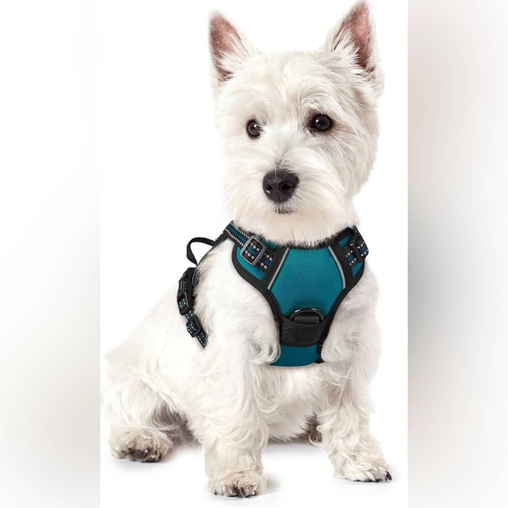 rabbitgoo No Pull Soft Padded Reflective Dog Harness & Leash, Dark Teal, XL
